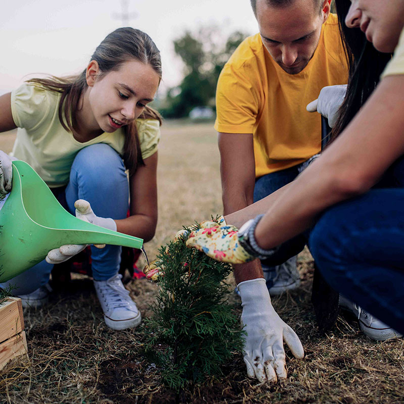 United Way of Greater Stark County Volunteer Planting in Garden
